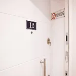 Matisse No12 - Center *